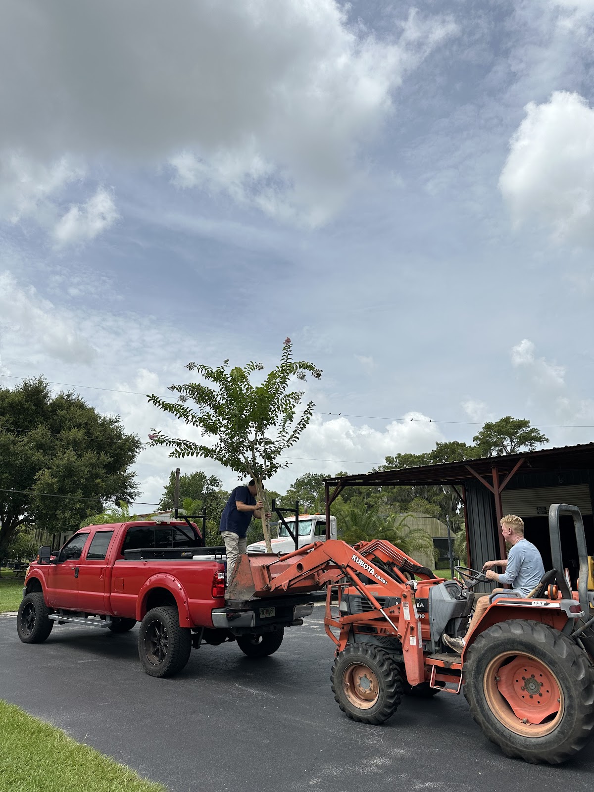 Lake Shore Tree Farm Inc in Orlando, Florida