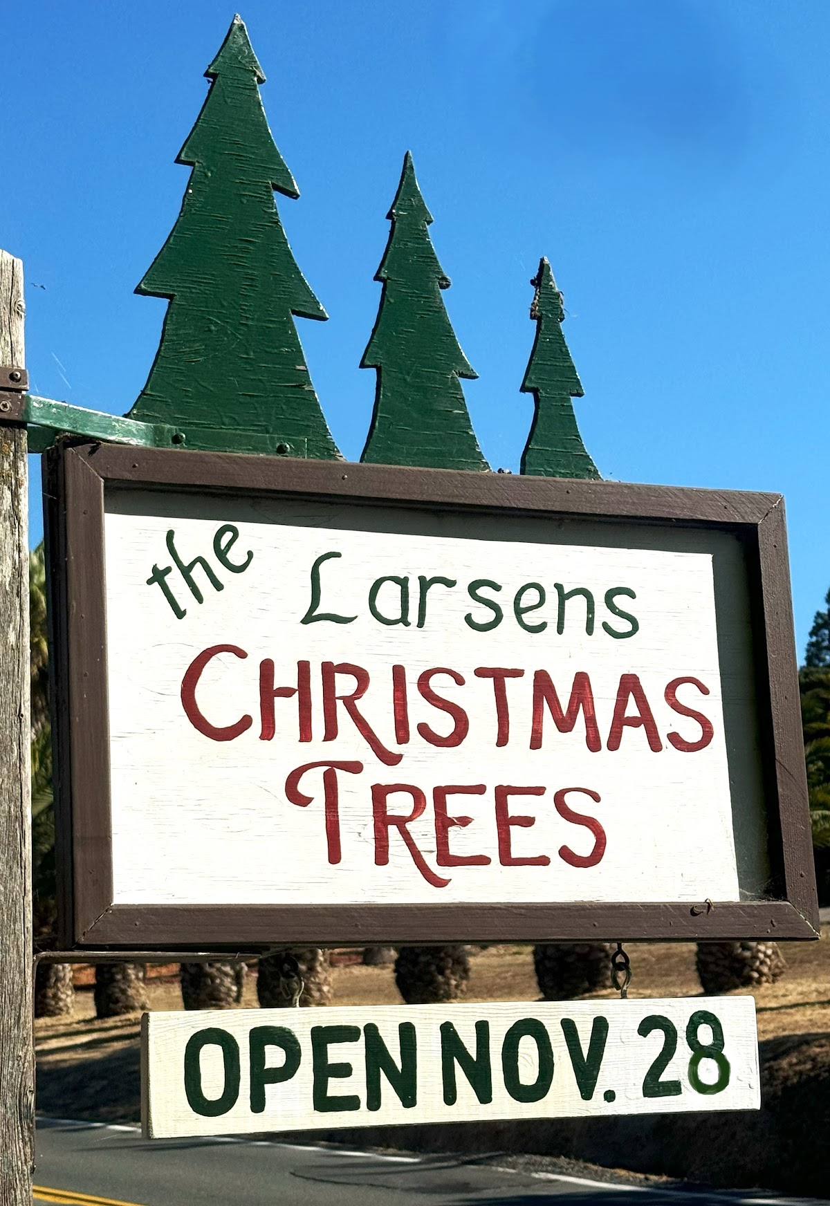 Larsen's Christmas Tree Farm in Petaluma, California