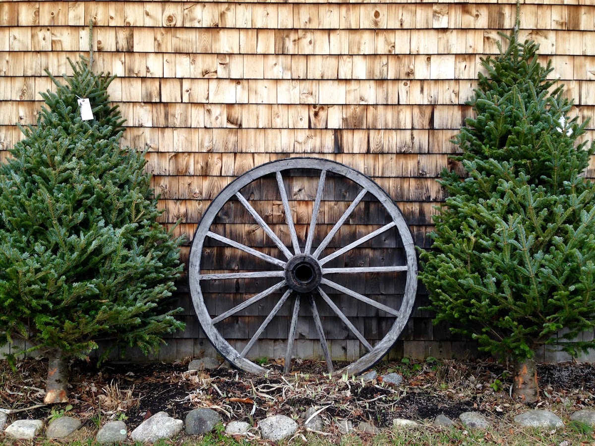 Ledge Hill Farm in Readfield, Maine
