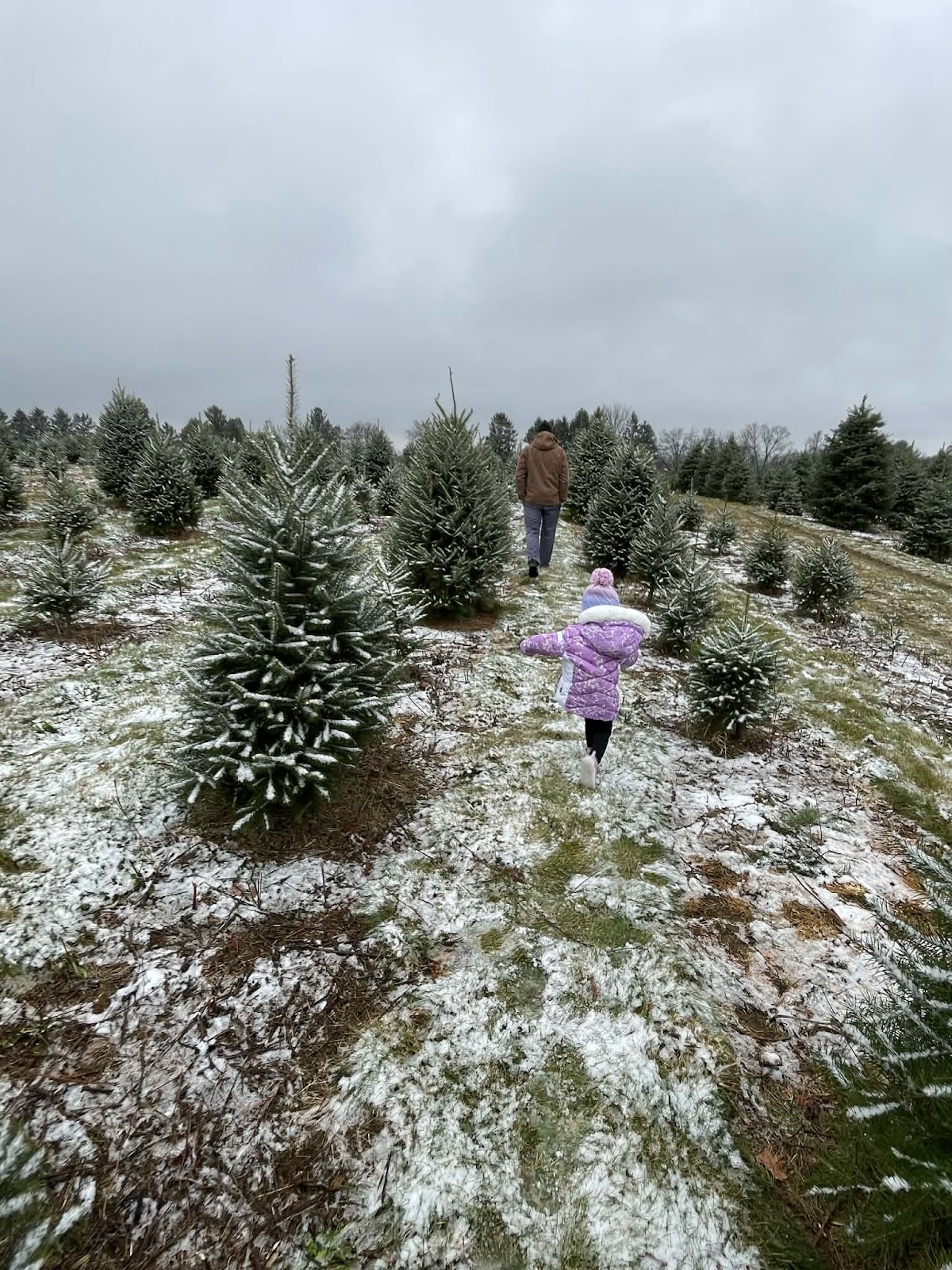 Lenhart's Tree Farm in Mertztown, Pennsylvania