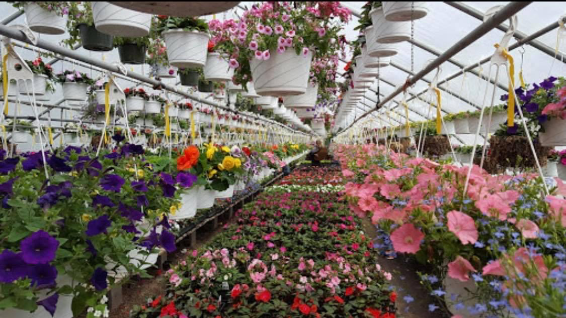 Leo's Greenhouse in Tiverton, Rhode Island