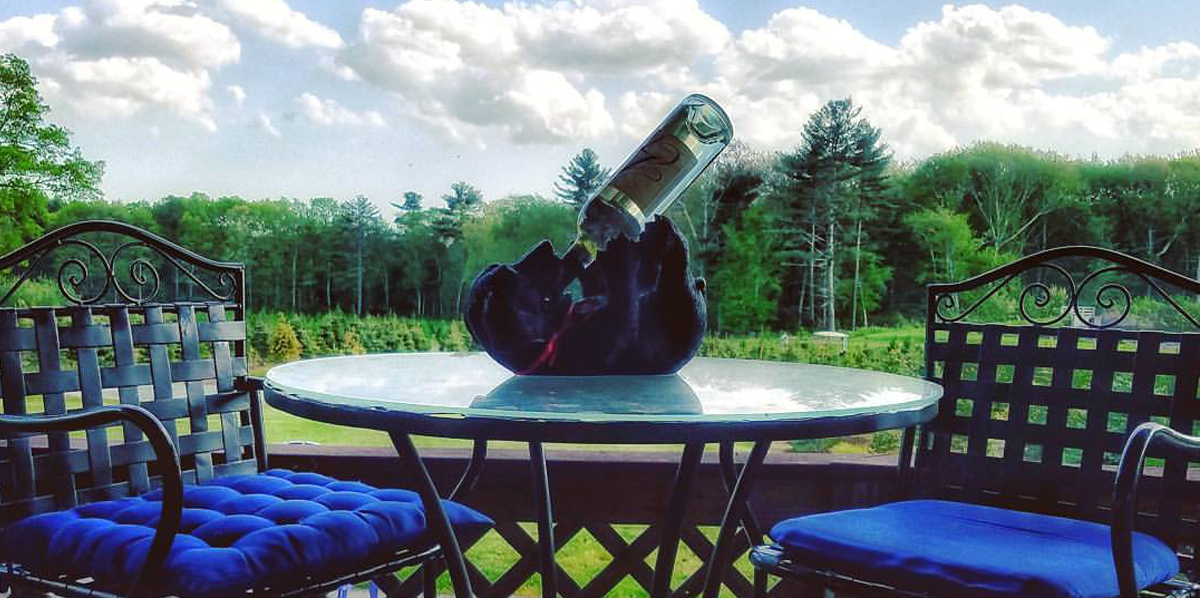 Leyden Farm Vineyard & Winery in West Greenwich, Rhode Island
