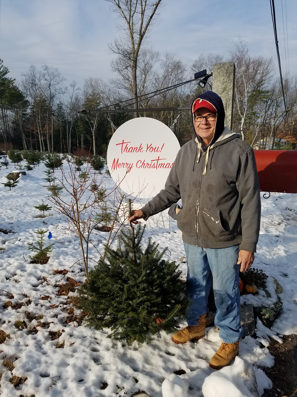 Live Tree or Die Farm in Amherst, New Hampshire