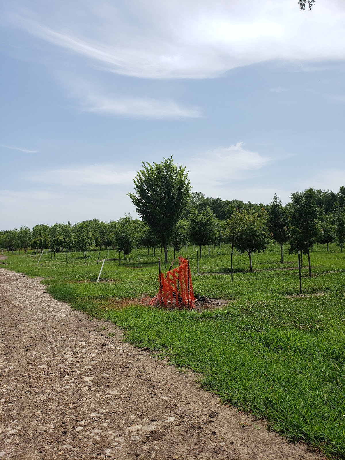 Lli Treefarm Inc in Lawrence, Kansas