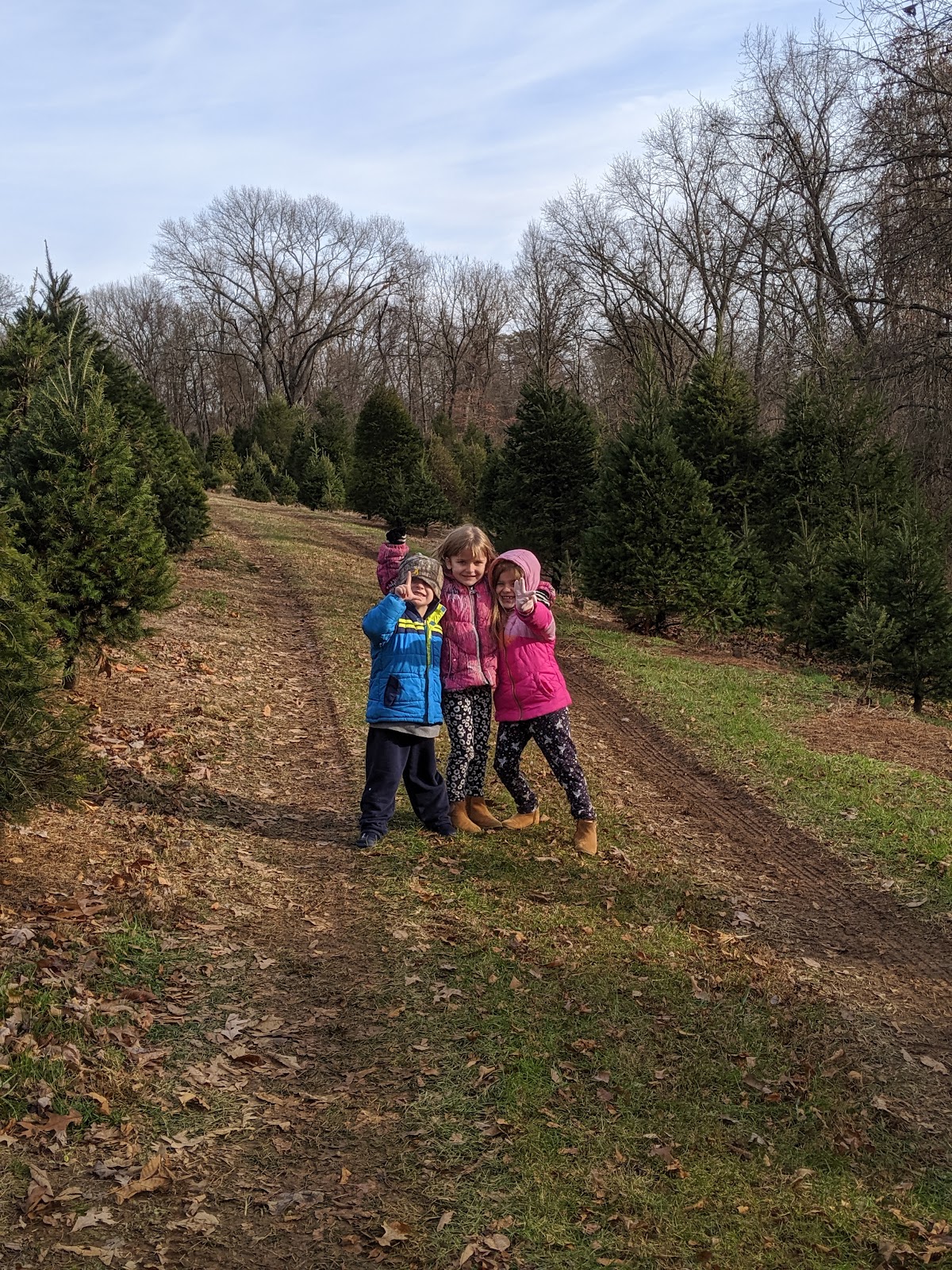 Lloyd's Tree Farm in Fawn Grove, Pennsylvania