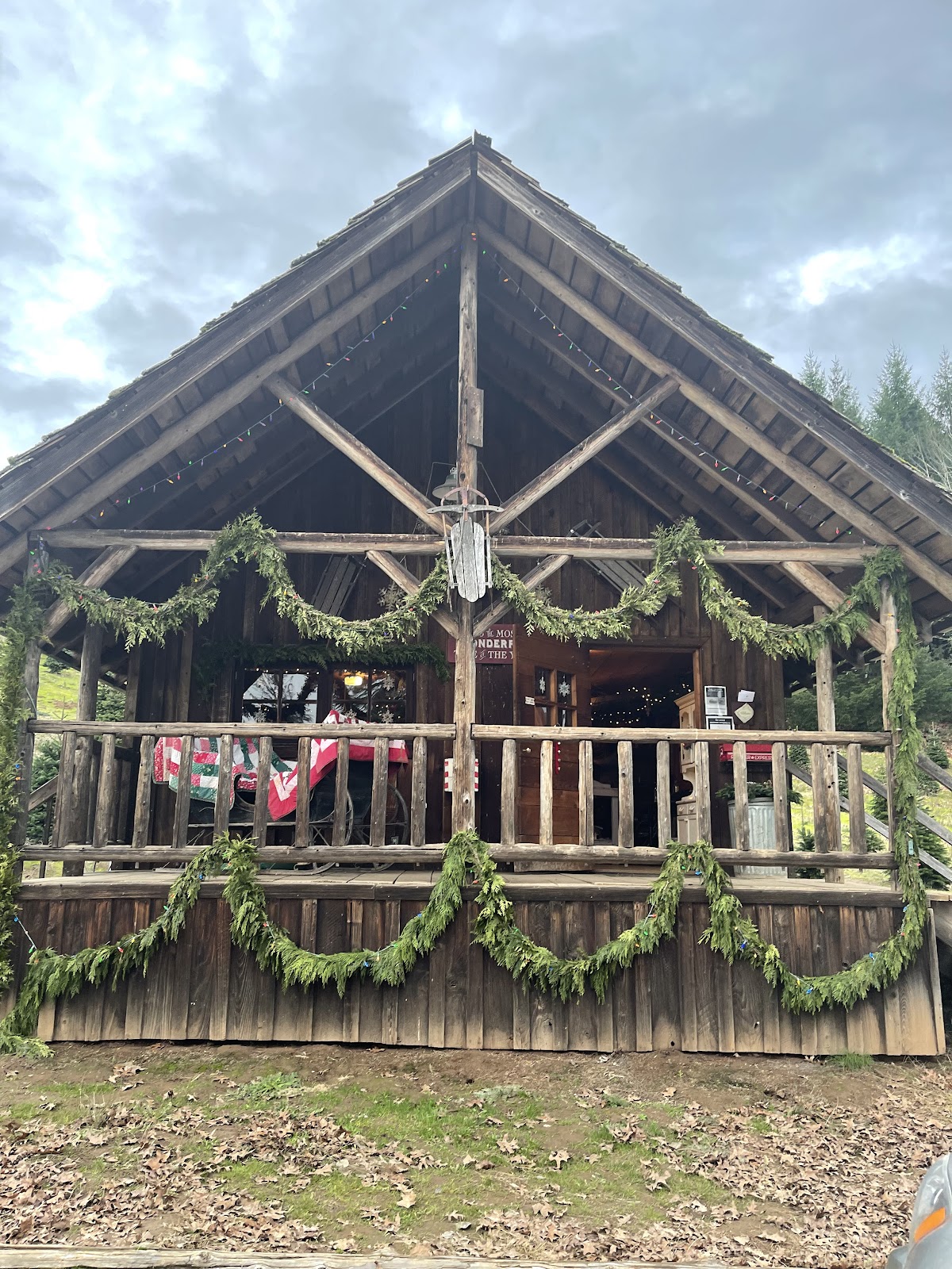 Loch Lolly Christmas Forest in North Plains, Oregon