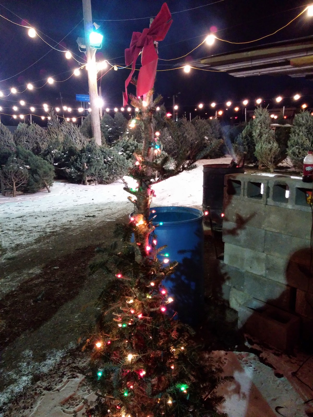 Londrico's Christmas Trees in Valley View, Ohio