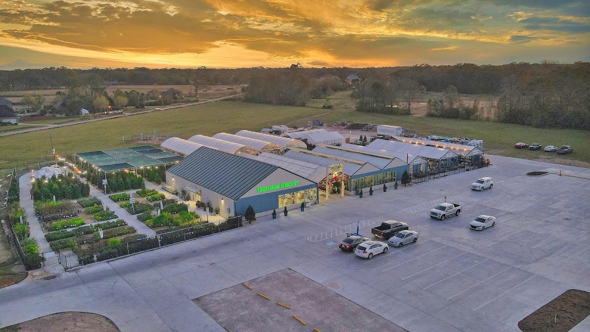 Louisiana Nursery in Prairieville, Louisiana