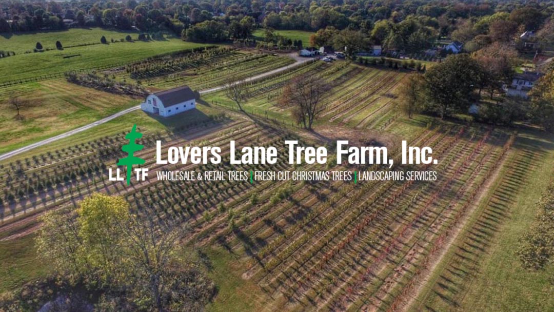 Lovers Lane Tree Farm in Bowling Green, Kentucky