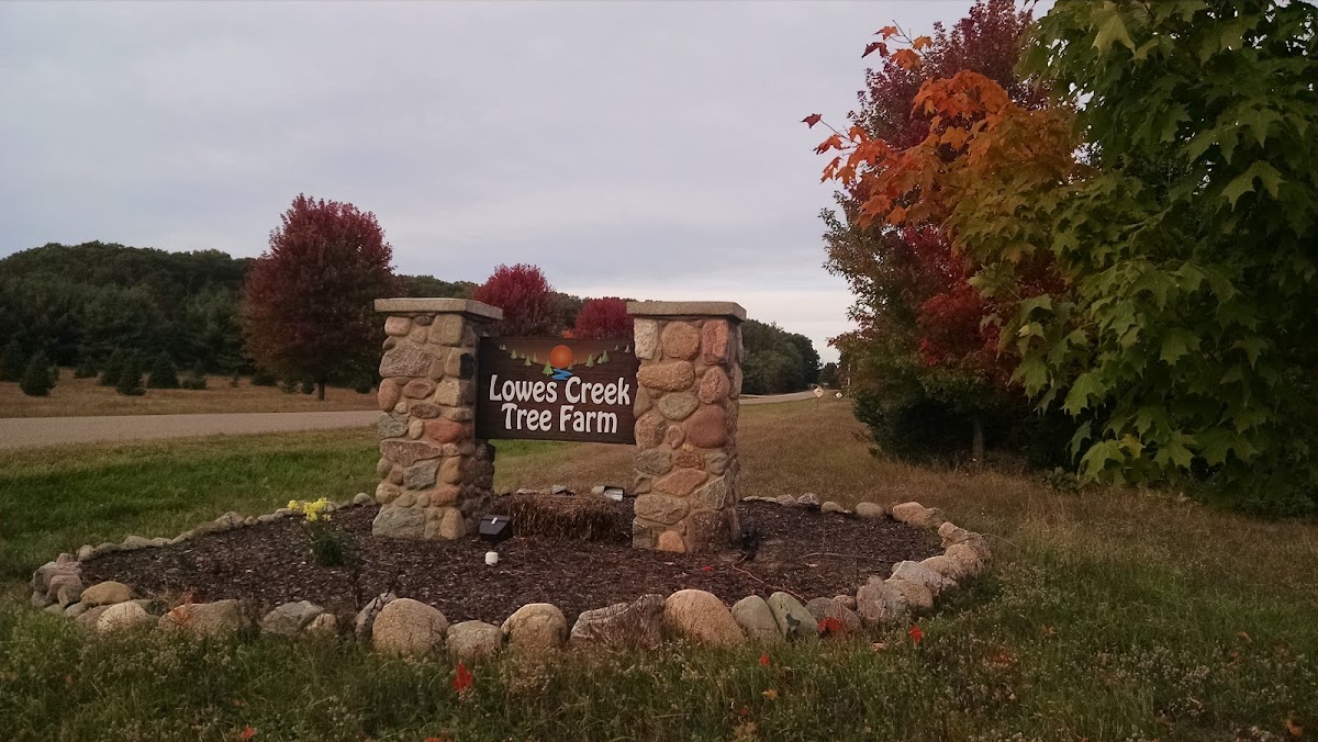 Lowes Creek Tree Farm in Eleva, Wisconsin