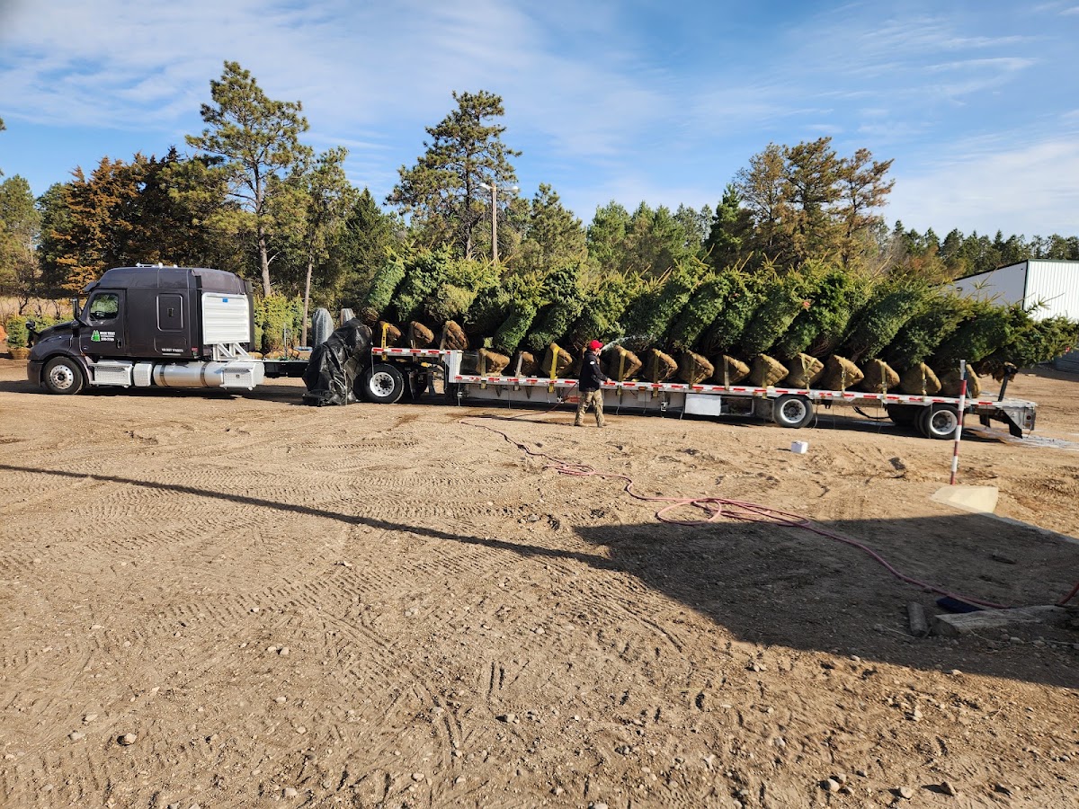 Lundeby Evergreens & Manufacturing in Pekin, North Dakota