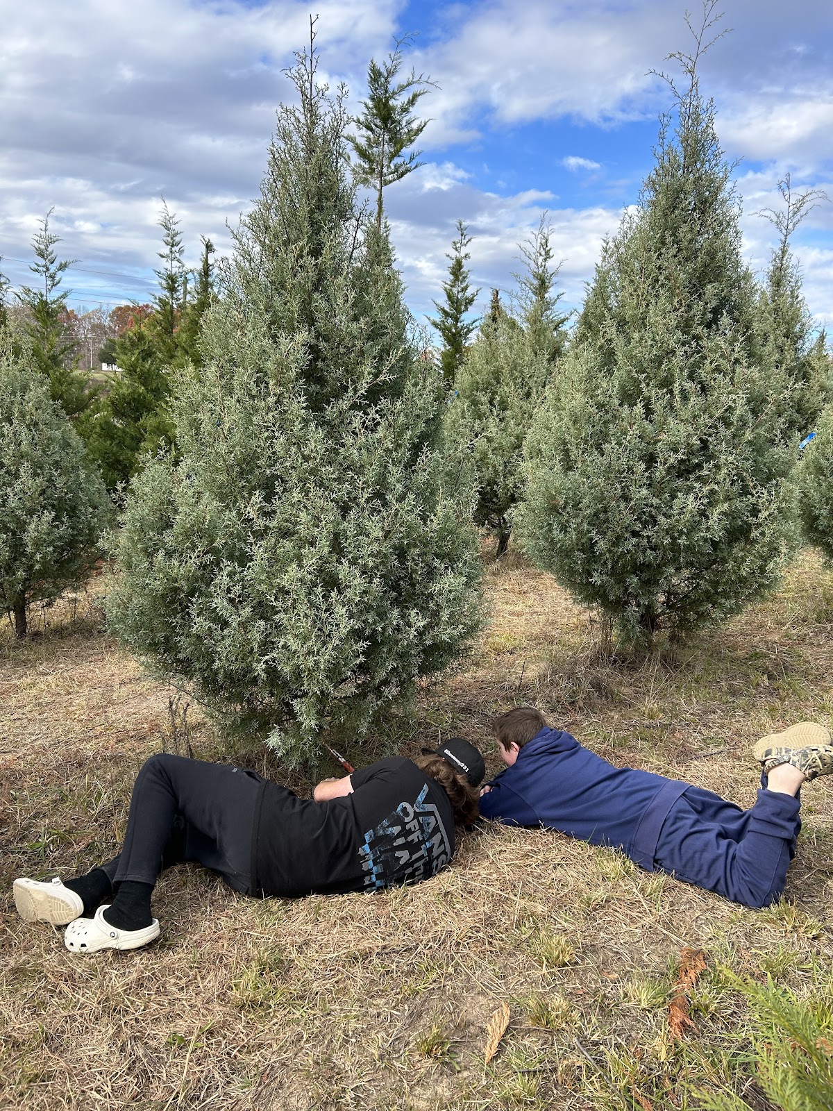 Lutz Christmas Tree Farm in Clover, South Carolina