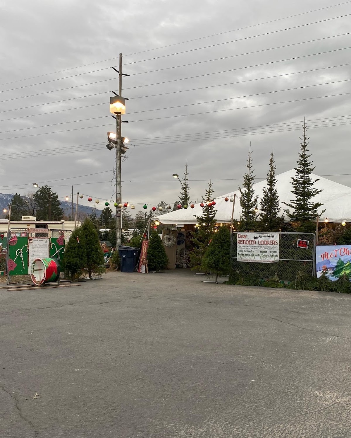 M&T Christmas Trees in Sandy, Utah