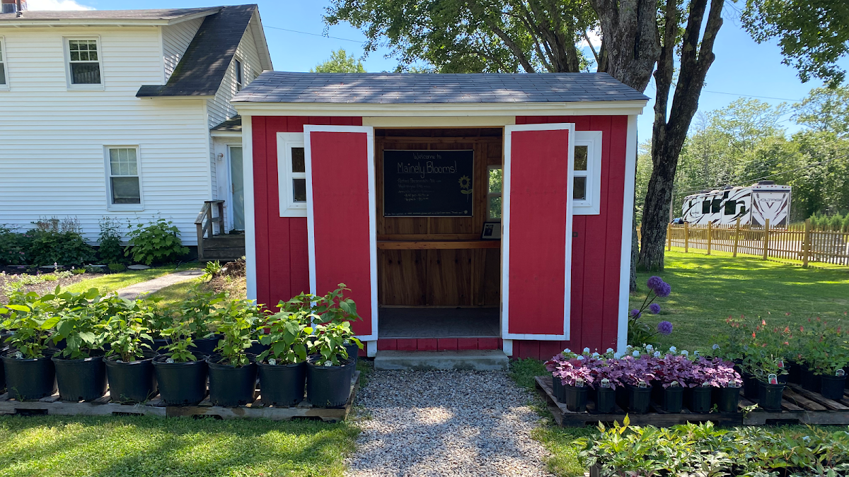 Mainely Blooms in Arundel, Maine