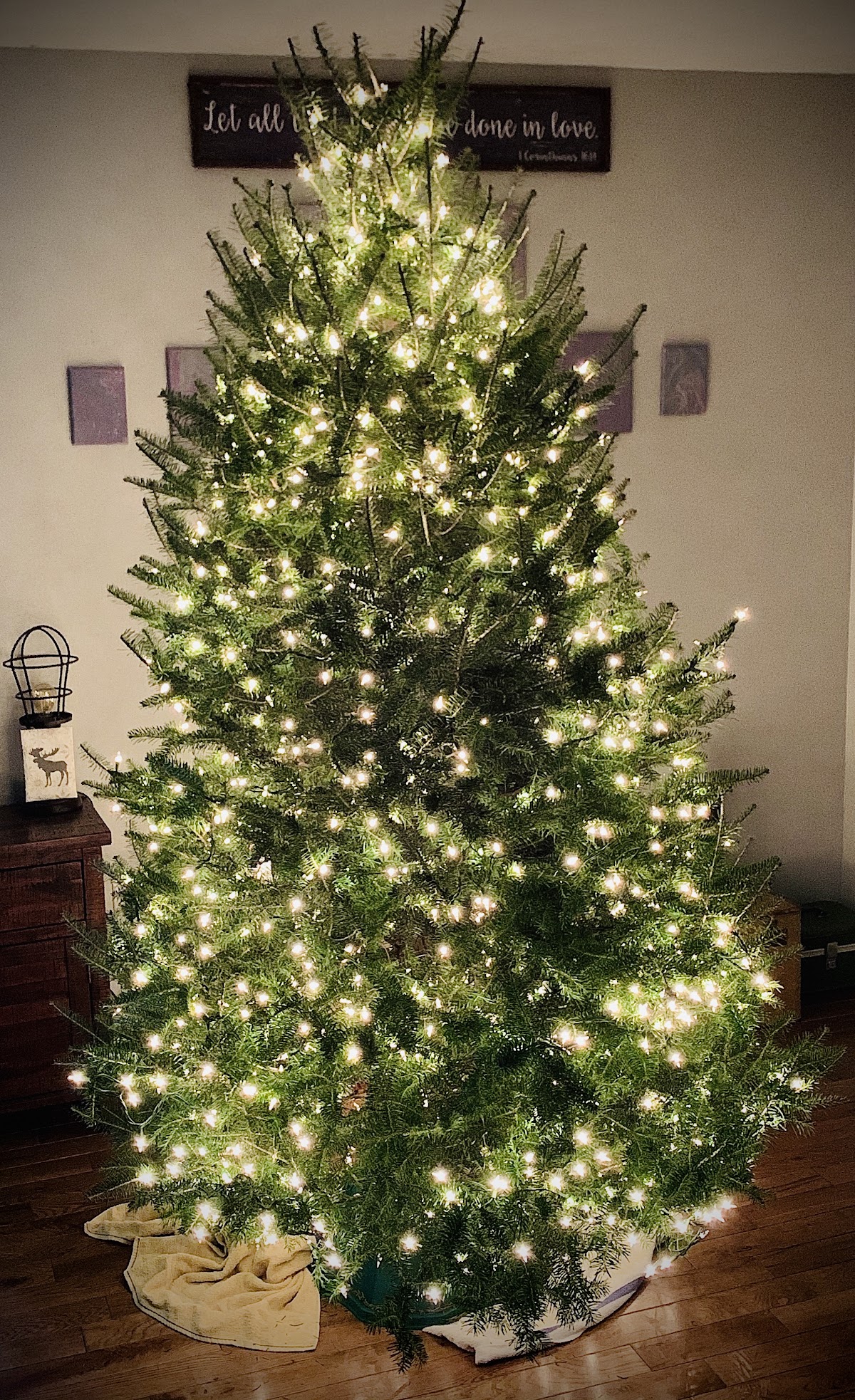Mark 4 Christmas Tree Farm in Cookeville, Tennessee