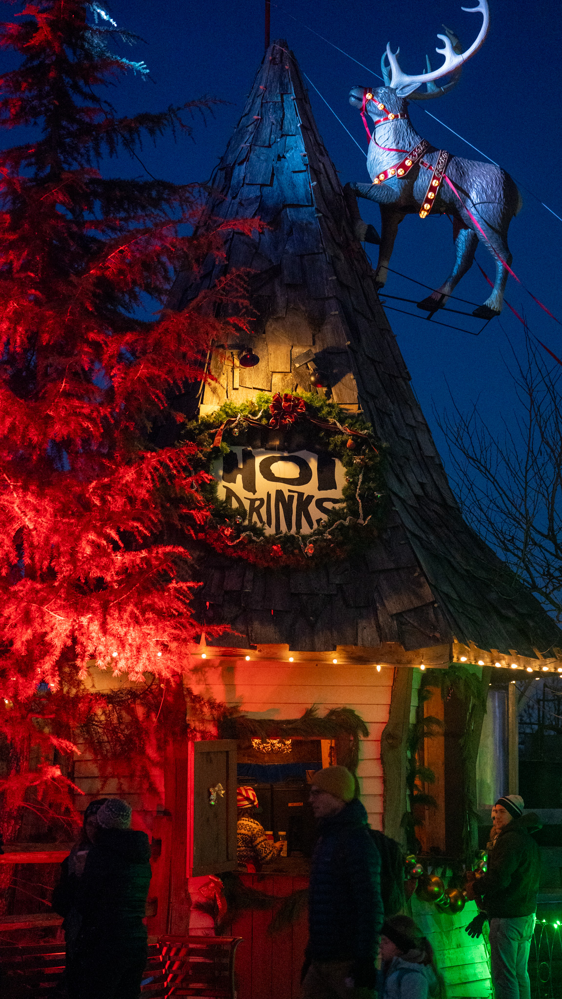 Markoff's Christmas Farm in Dickerson, Maryland