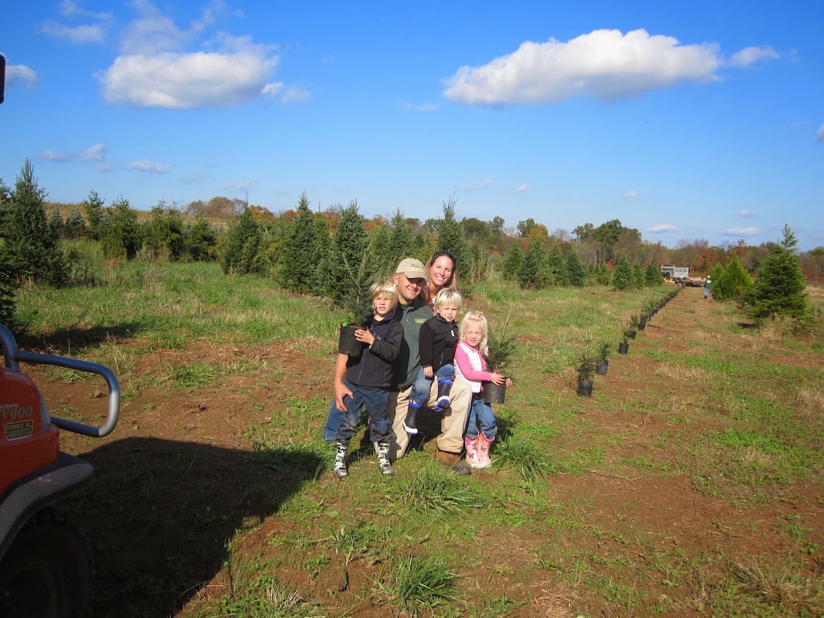 Martin Family Tree Farm in East Amwell Township, New Jersey