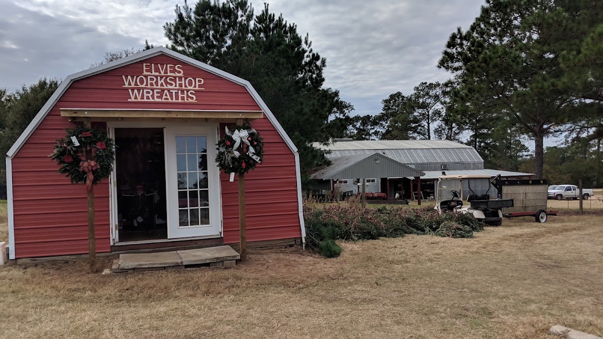 Martin Farms in Bellville, Texas