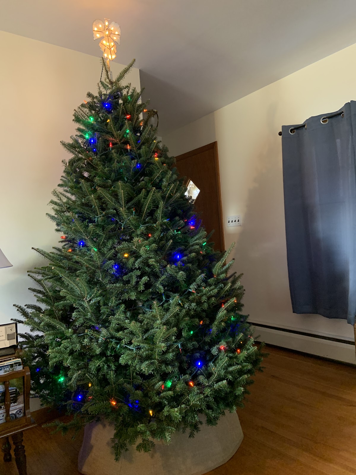 Martin Tree Farm in Hampstead, Maryland