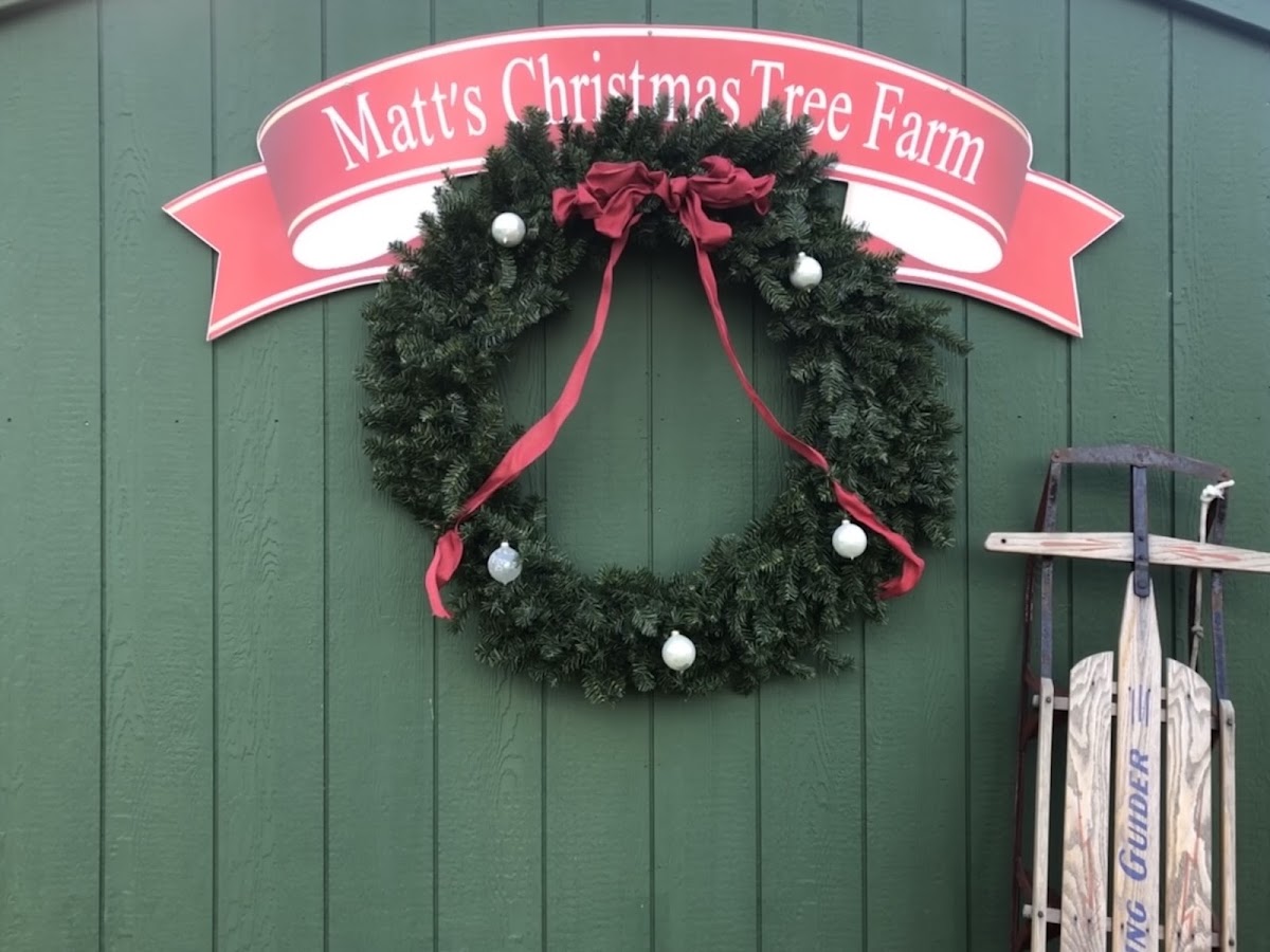 Matt's Christmas Tree Farm in Manorville, New York