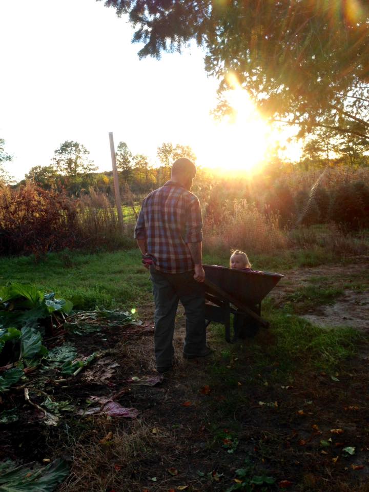 Mattisons Christmas Tree Farm in Shaftsbury, Vermont