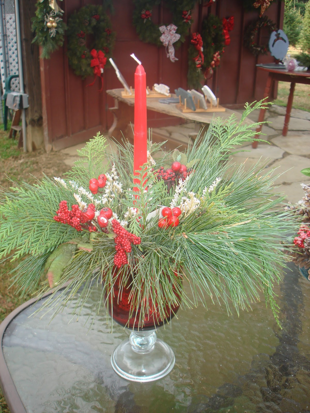 McCarthy Tree Farm in Middletown, Delaware