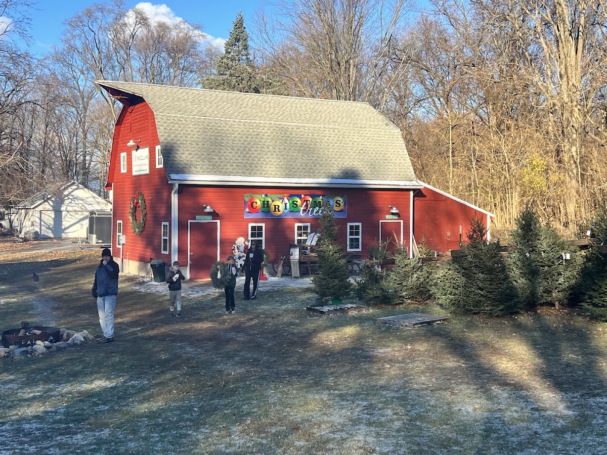 Mcclure Christmas Tree Farm LLC in La Porte, Indiana