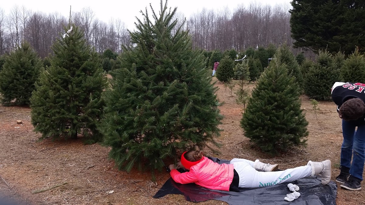McLaughlin Tree Farm in Robbinsville Township, New Jersey