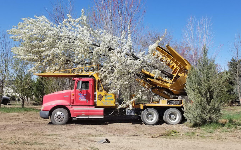 Melad Tree Farm in Nampa, Idaho