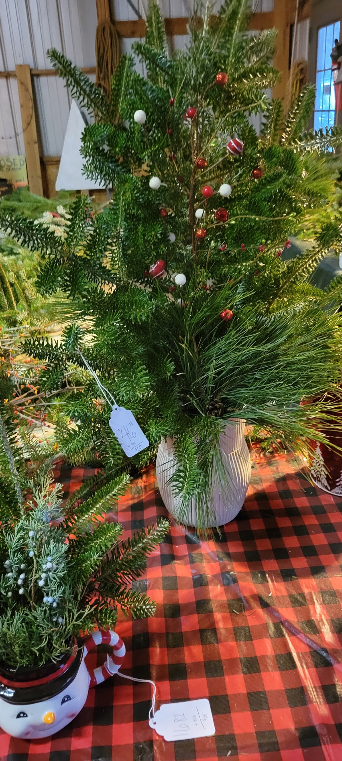Miller Tree Farm in Runnells, Iowa