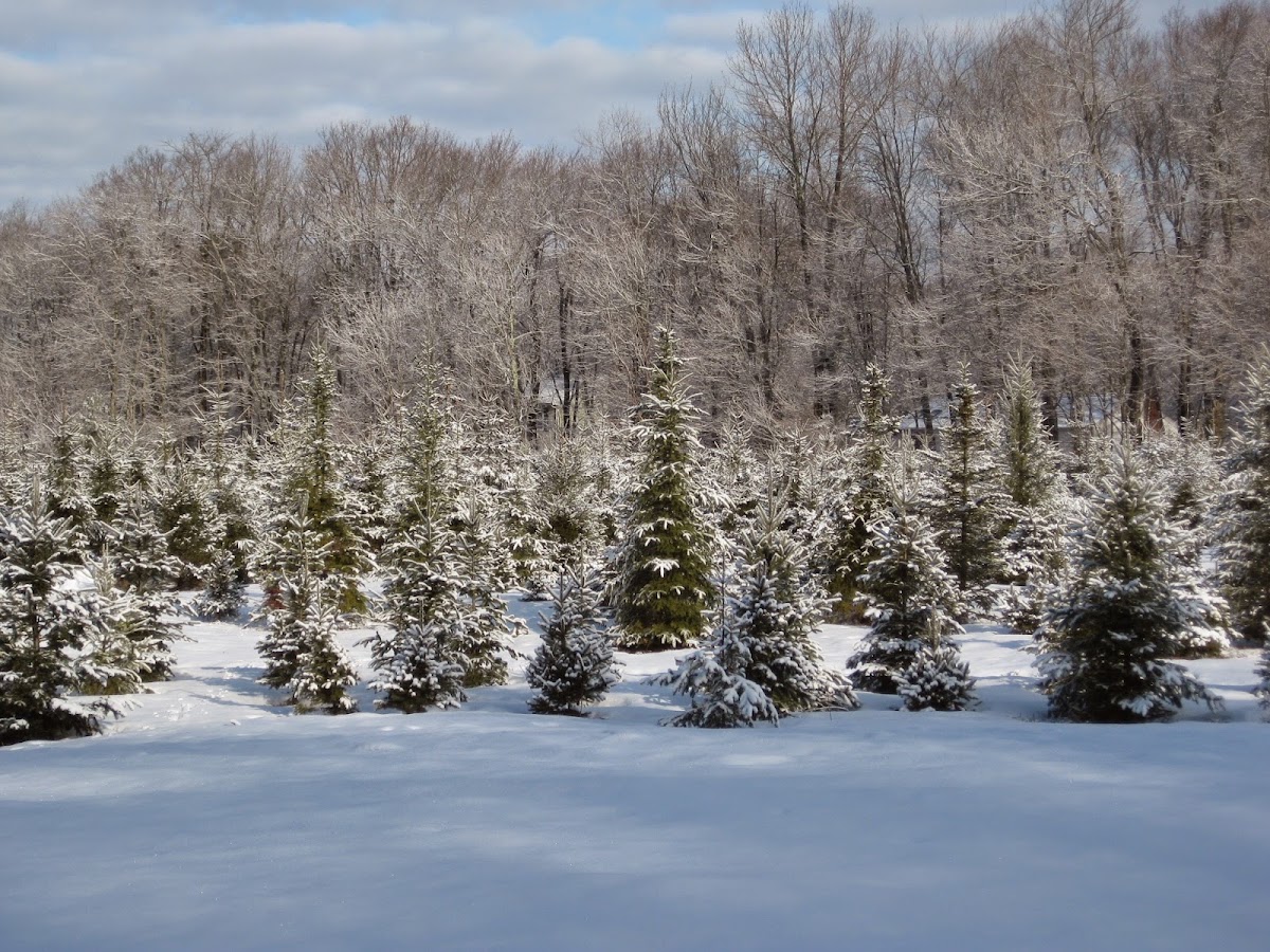 Millers Family Farm in North Attleborough, Massachusetts