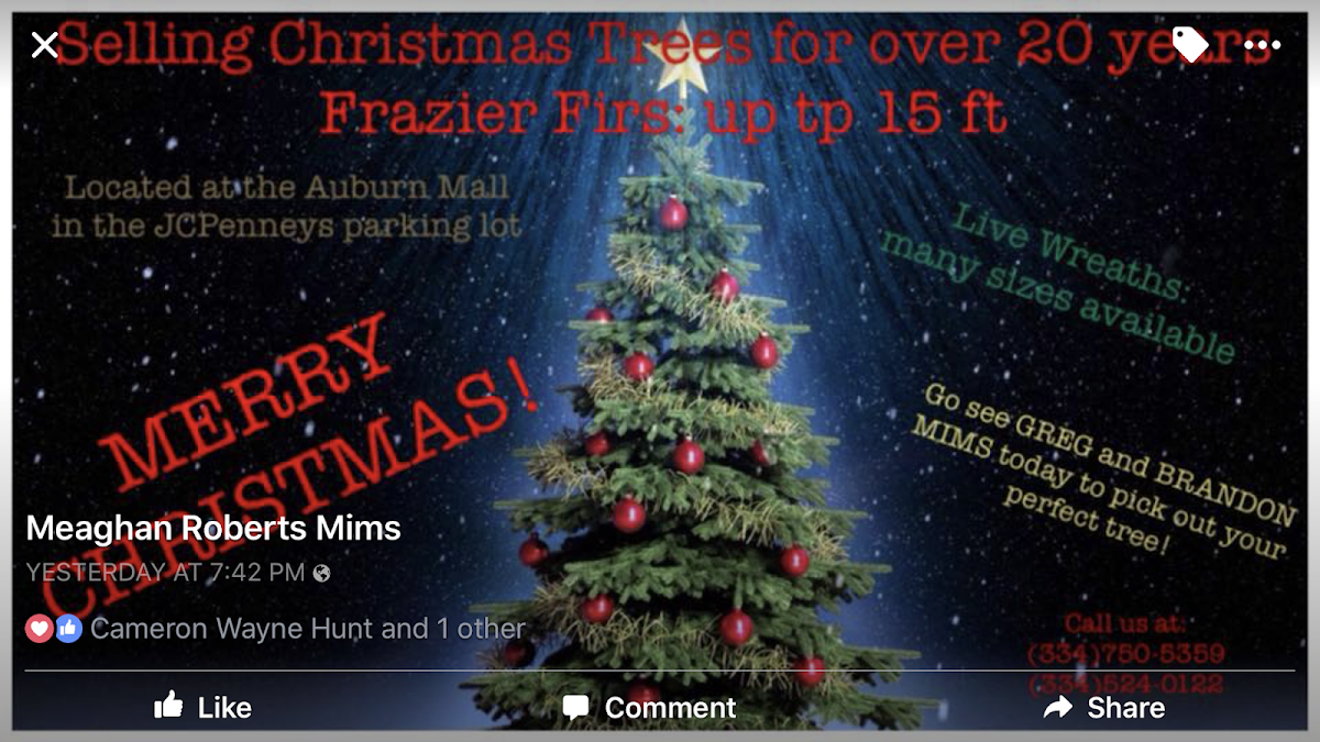 Mims Christmas Tree Lot in Auburn, Alabama