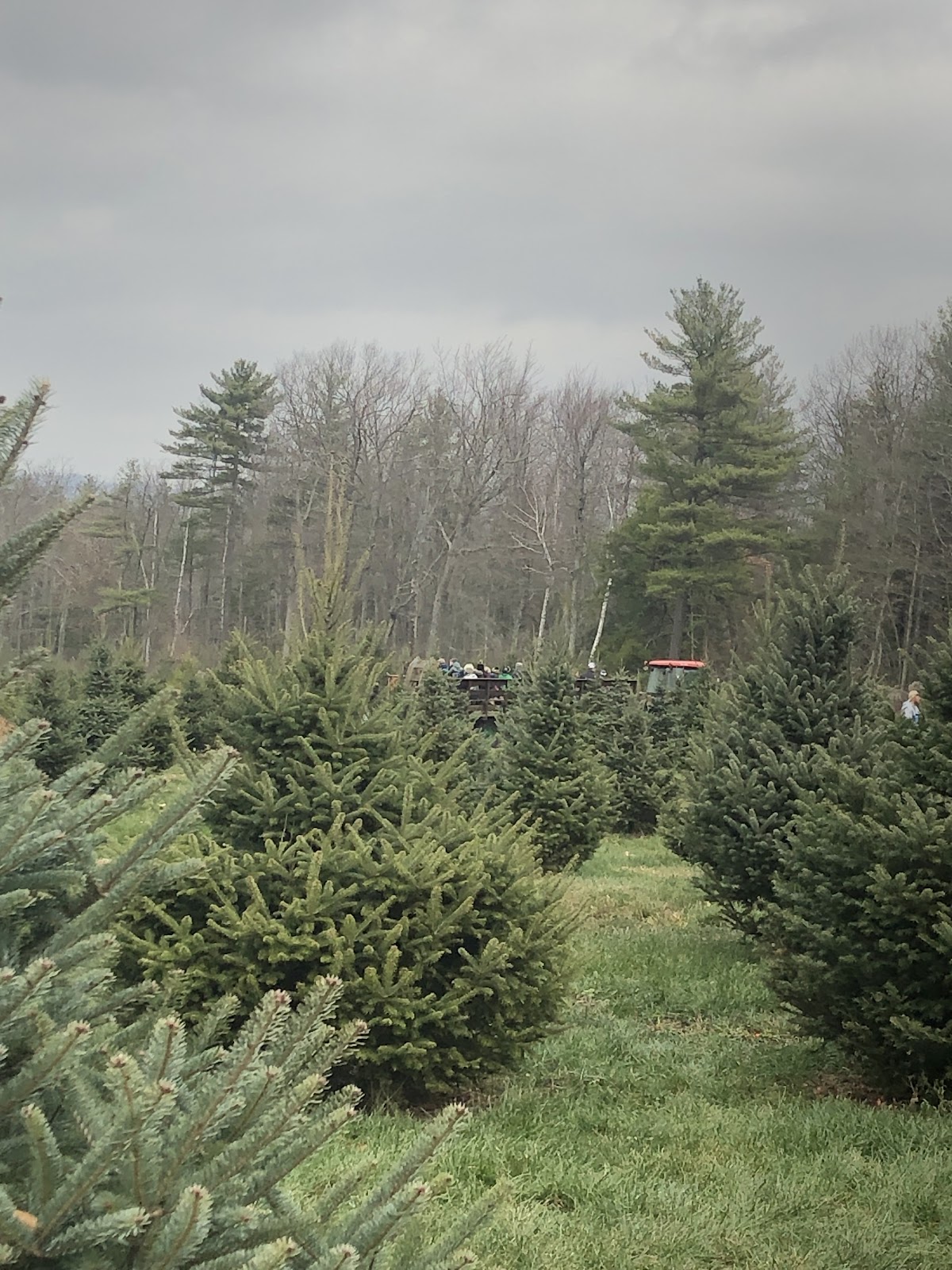 Miracle Acres Farm in Milford, New Hampshire
