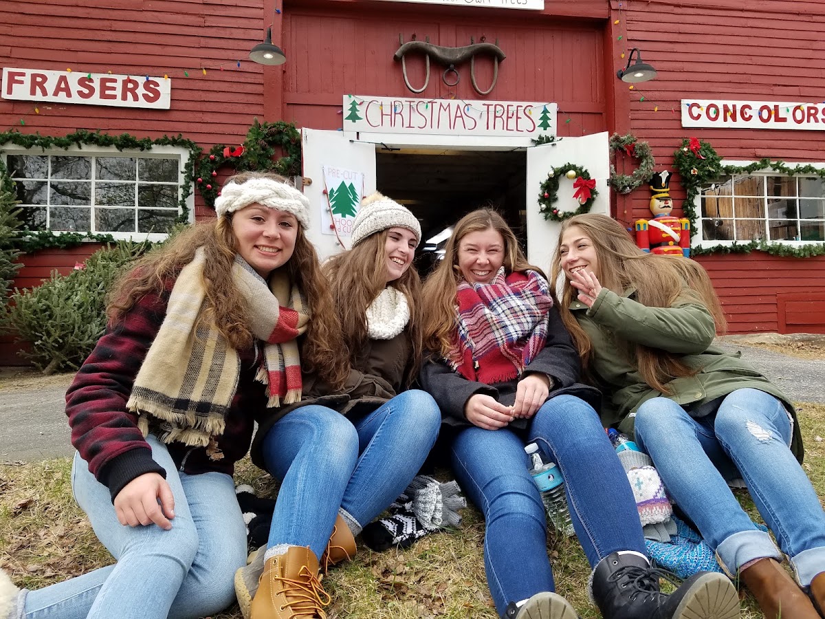 Mistletoe Christmas Tree Farm in Stow, Massachusetts