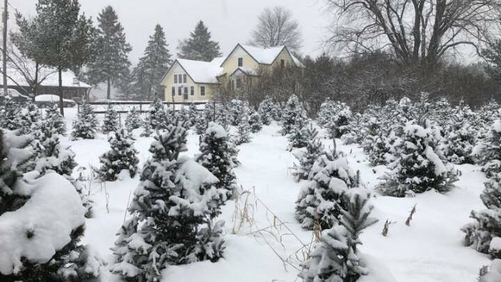 Moccasin Creek Family Farm, LLC in Wisconsin Rapids, Wisconsin