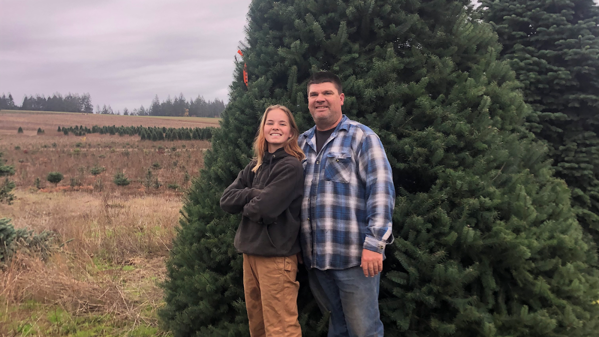 Molalla Tree Farms in Molalla, Oregon