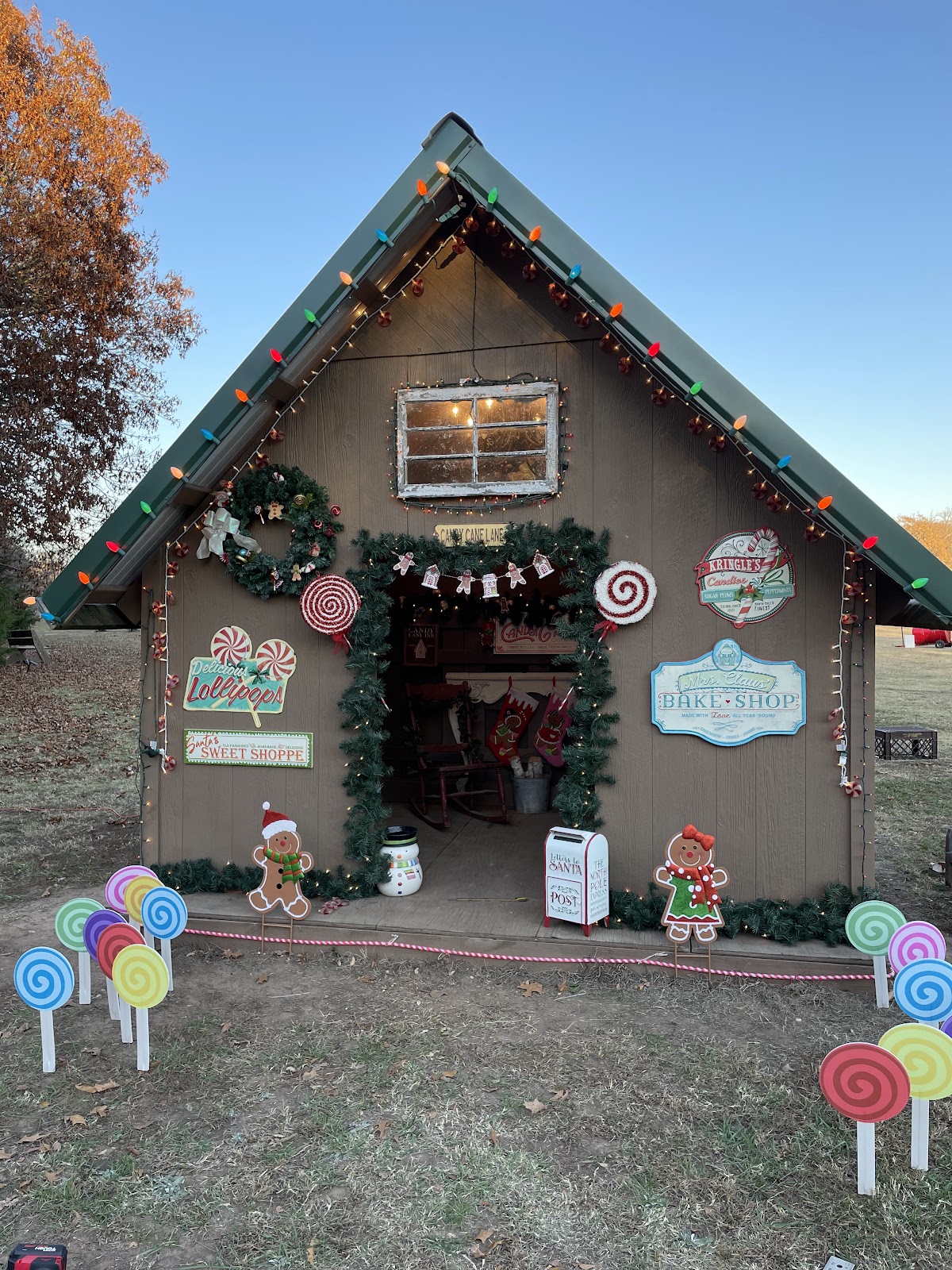 Molly and Socks Christmas Tree Farm in Bristow, Oklahoma