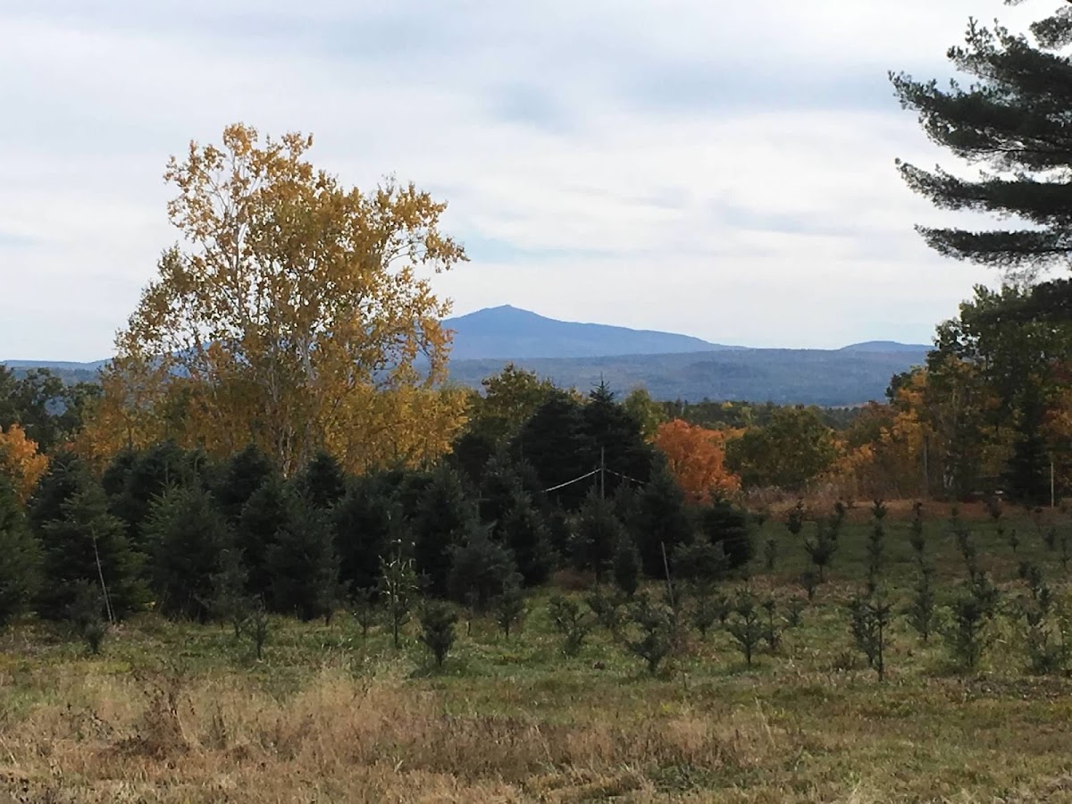 Monadnock View Farm in Keene, New Hampshire