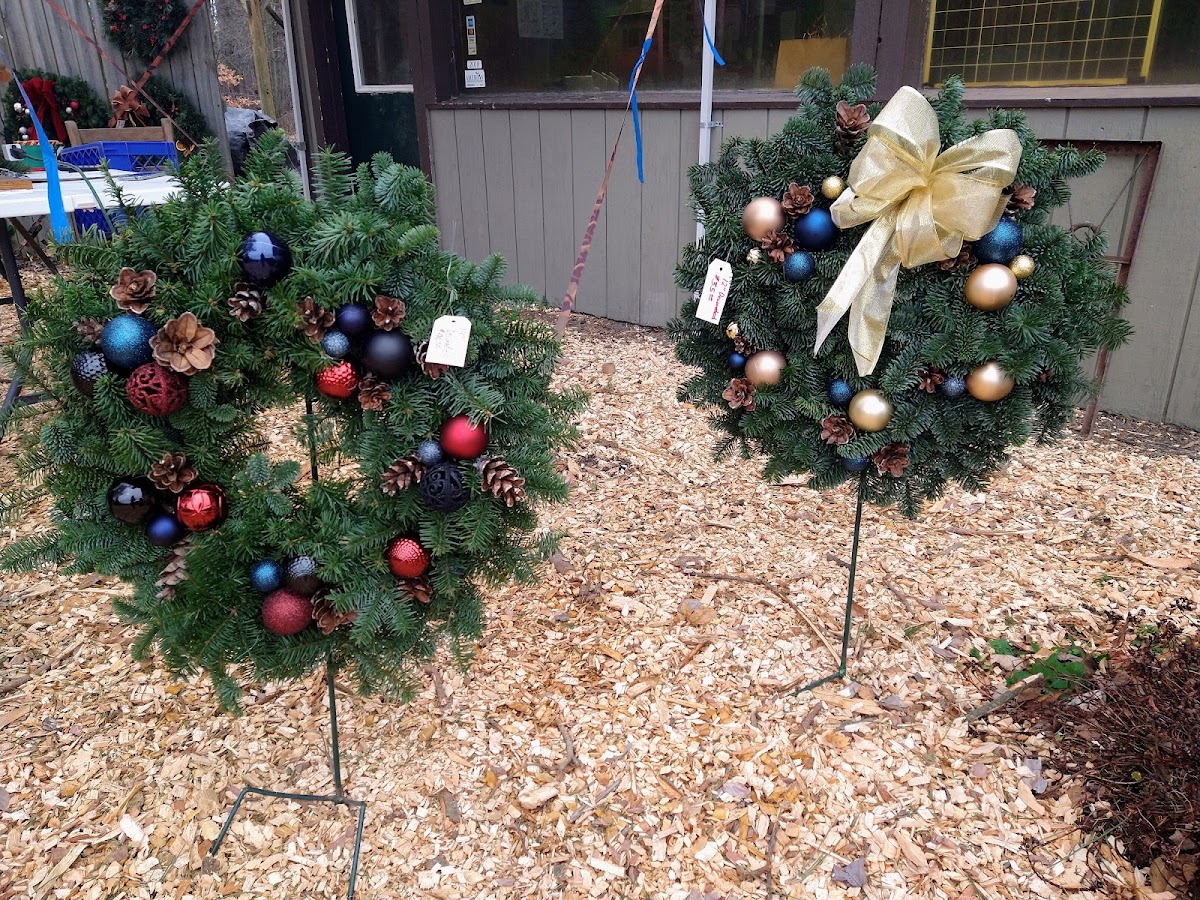 Montague Tree Farms in Montague, Michigan