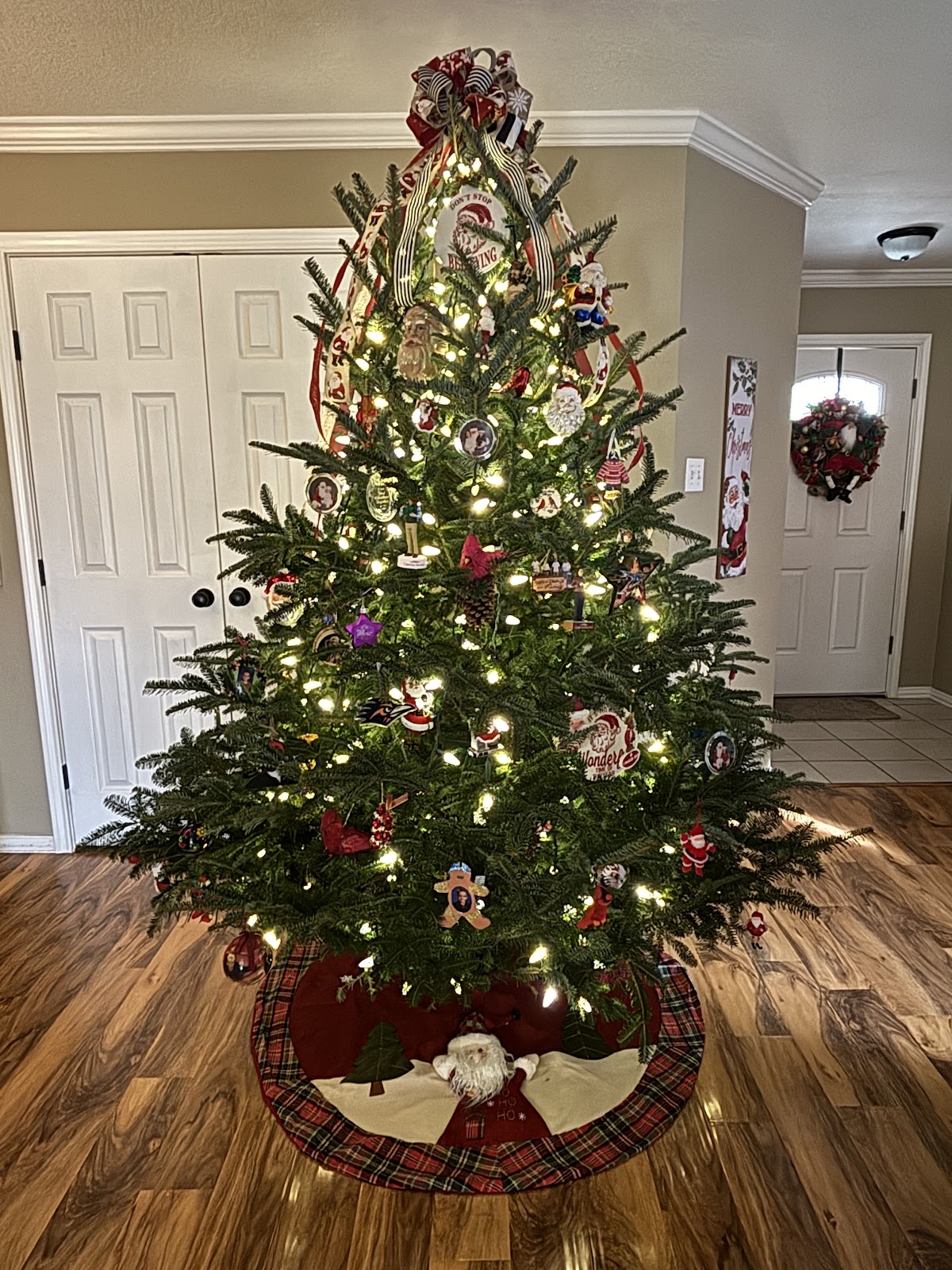 Montana Fresh Christmas Trees in Austin, Texas