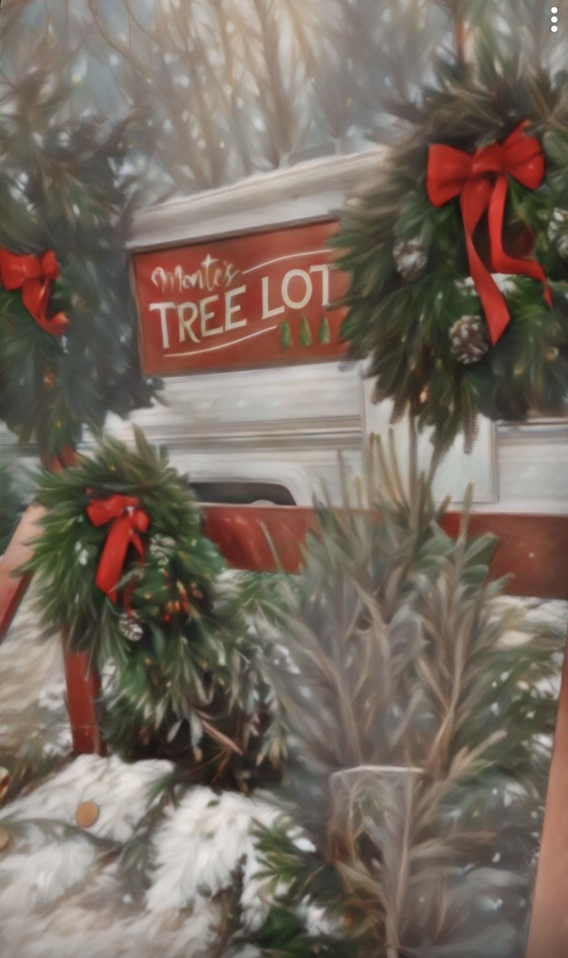 Monte's Tree Lot in Duluth, Minnesota