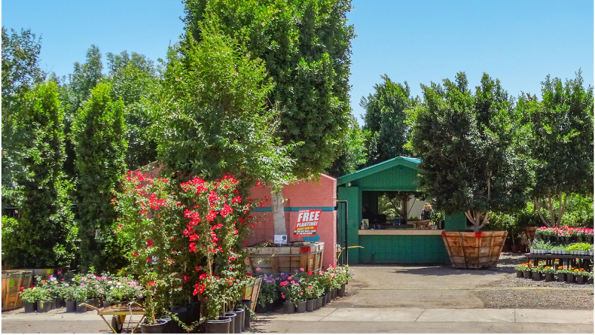 Moon Valley Nurseries in Chandler, Arizona
