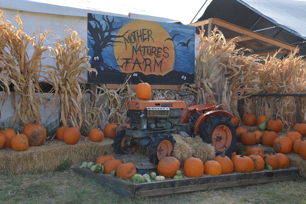 Mother Nature's Farm in Gilbert, Arizona