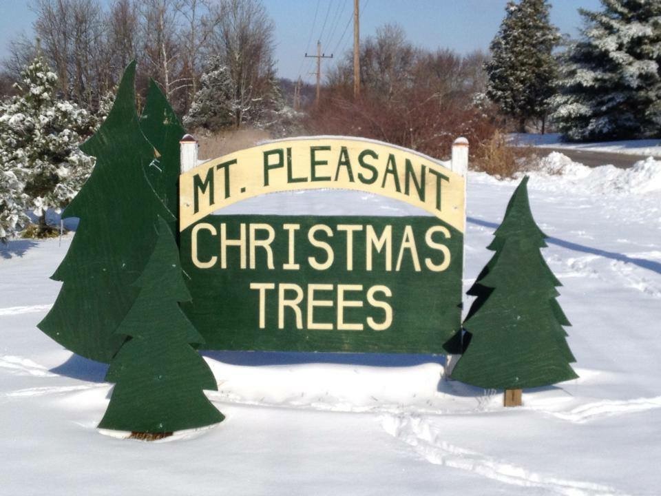 Mount Pleasant Christmas Trees in Lawrenceburg, Indiana