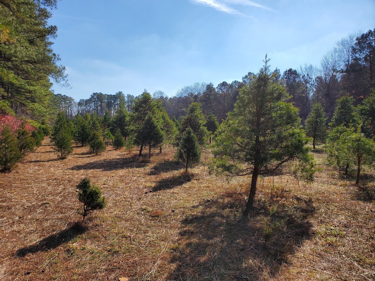 Mountain Branch Farm in Garner, North Carolina