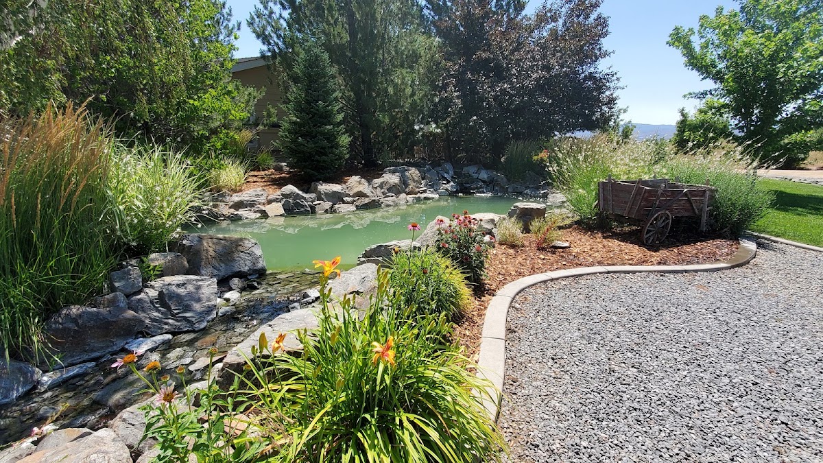 Mountain View Tree Farm LLC in Gardnerville, Nevada