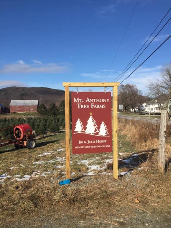 Mt. Anthony Tree Farms in Pownal, Vermont