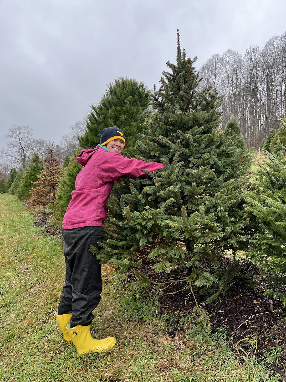 Mulkeen Landscaping & Tree Service in Morgantown, West Virginia