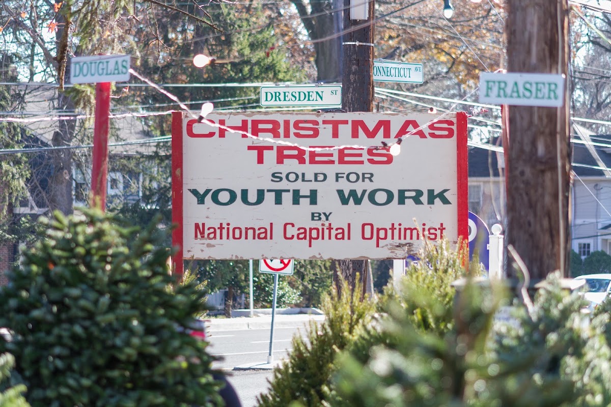 National Capital Optimist Club Christmas Trees in Kensington, Maryland