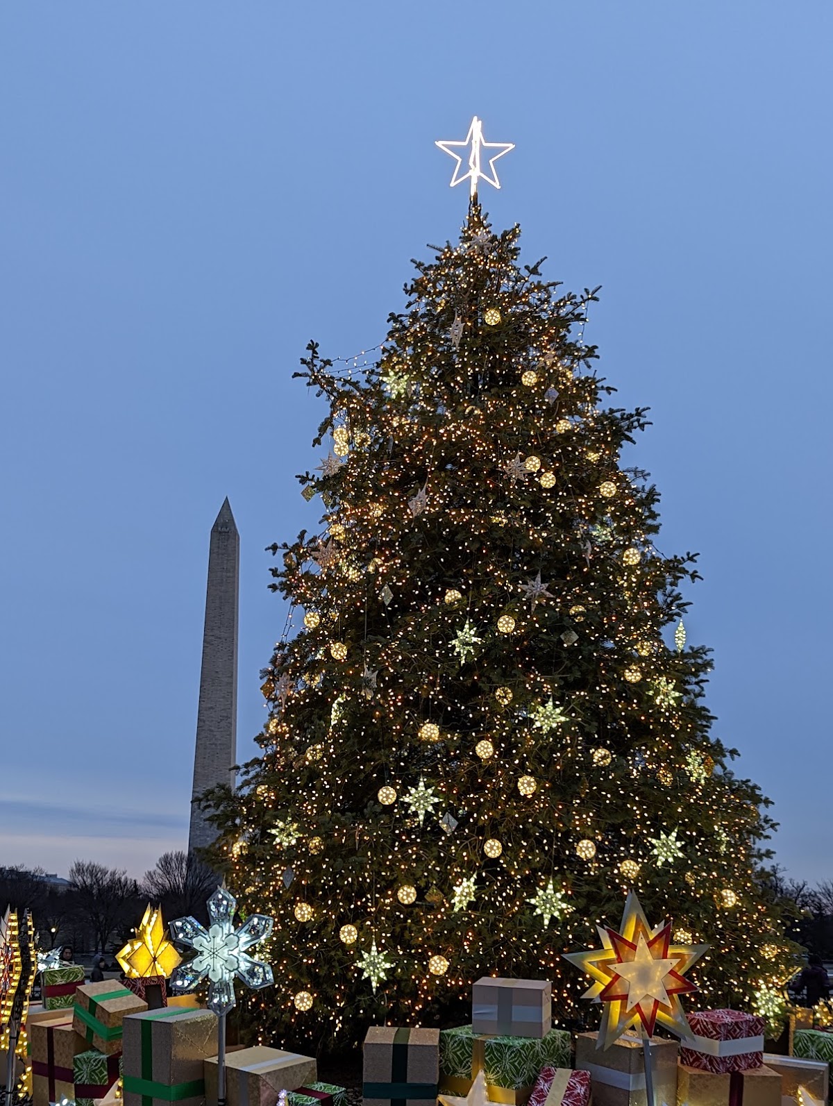 National Christmas Tree in Washington, District of Columbia